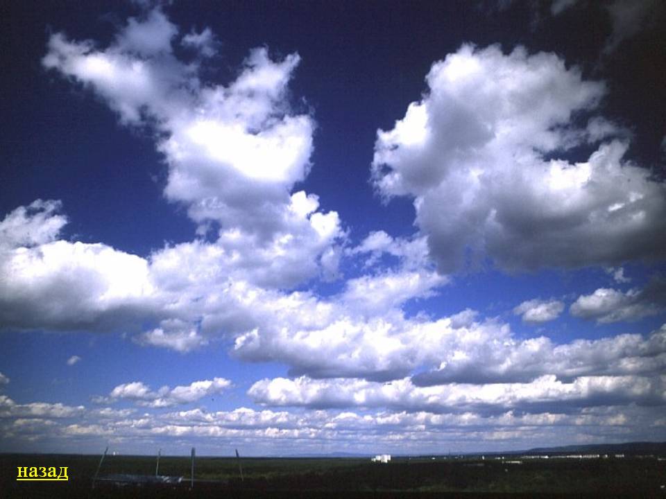 Назад