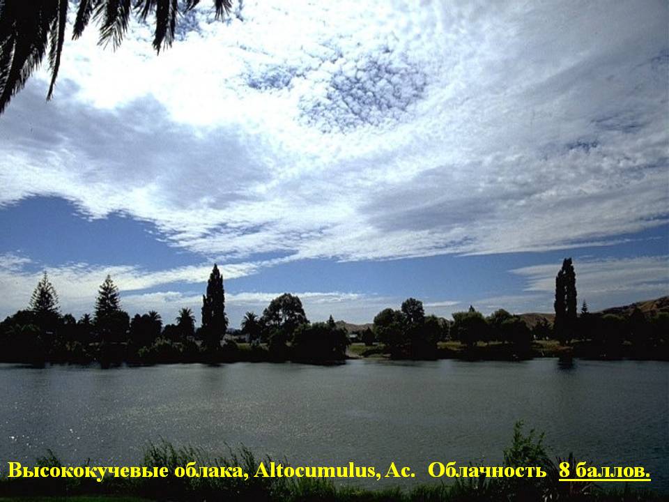 Высококучевые облака, Altocumulus, Ac