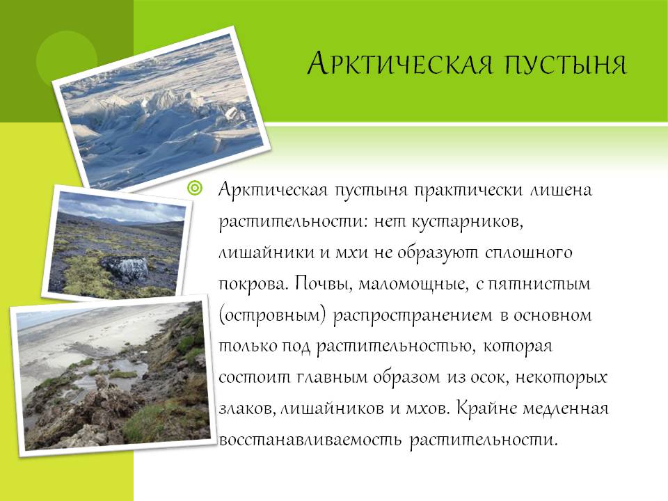 Арктическая пустыня