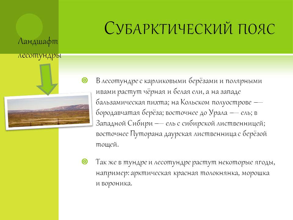 Субарктический пояс