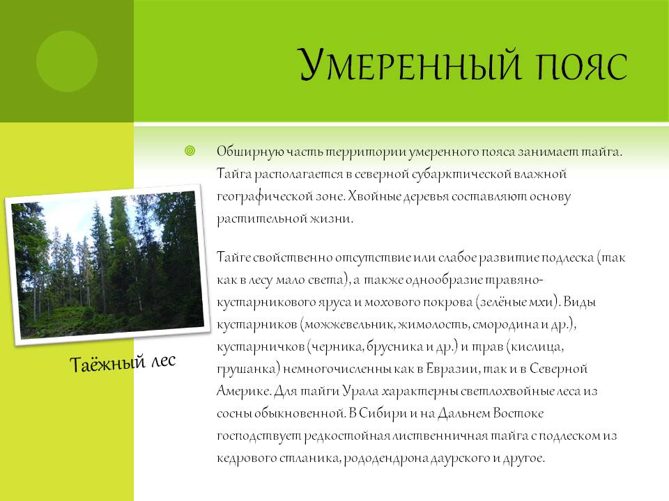 Умеренный пояс