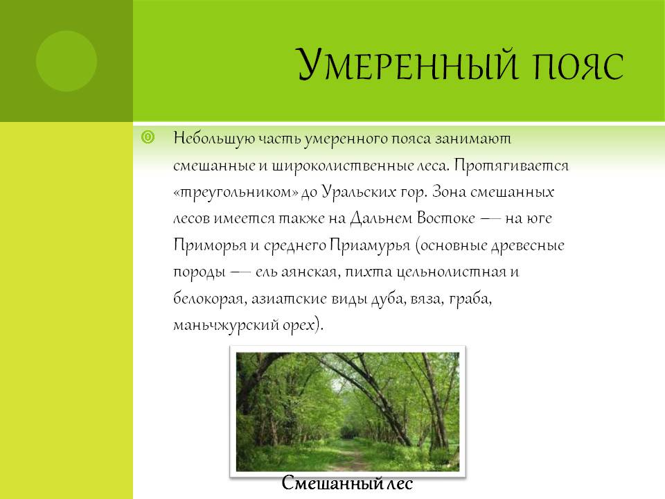 Умеренный пояс