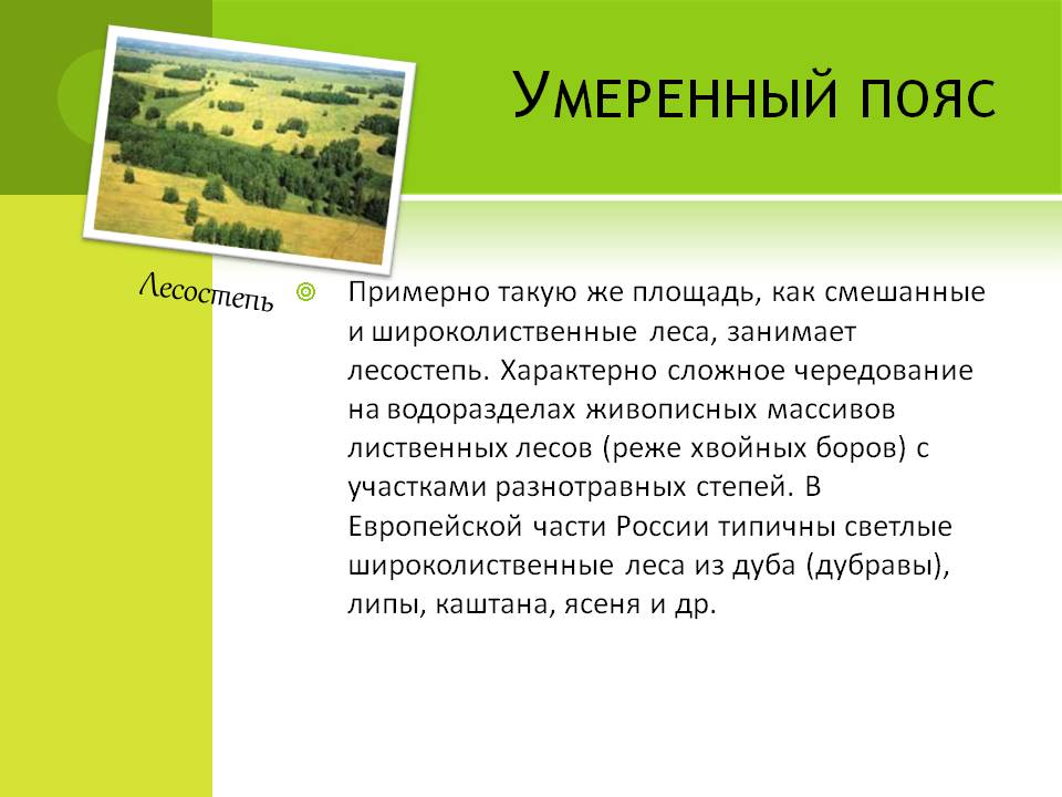 Умеренный пояс