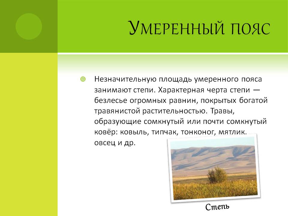 Умеренный пояс