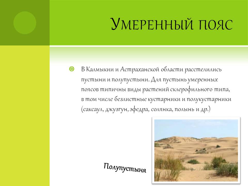 Умеренный пояс