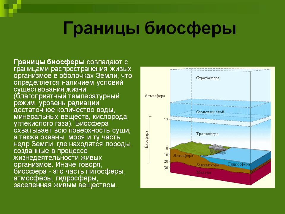 Границы биосферы