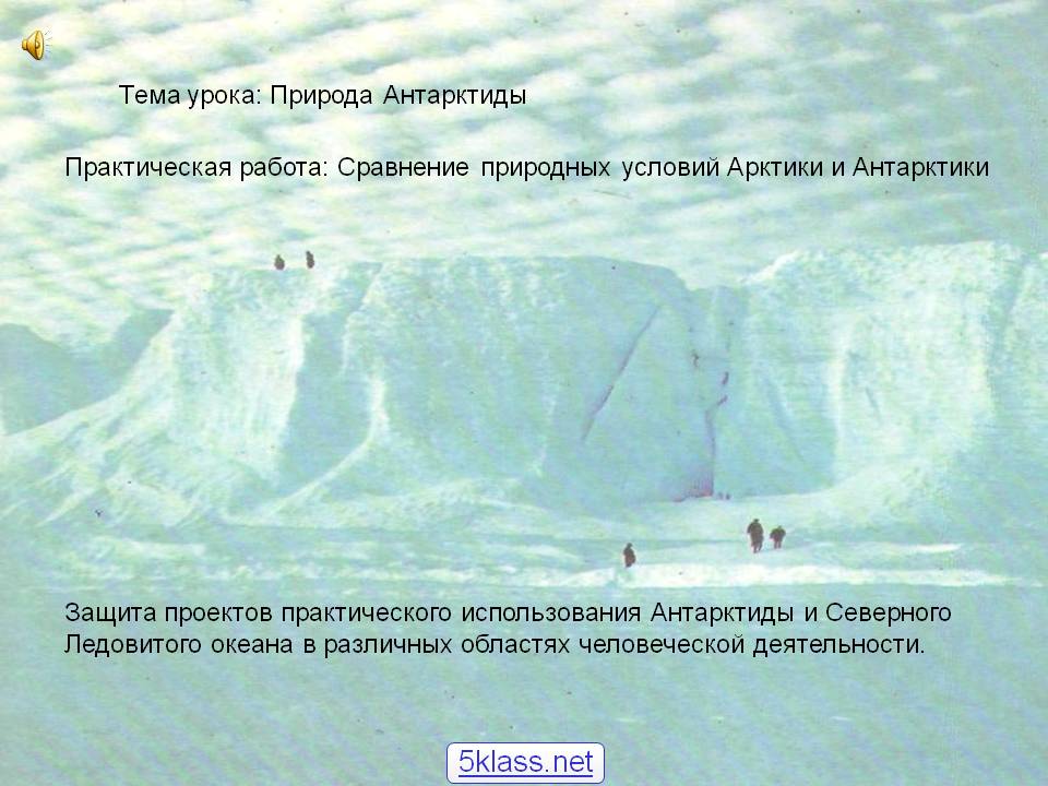 Природа Антарктиды