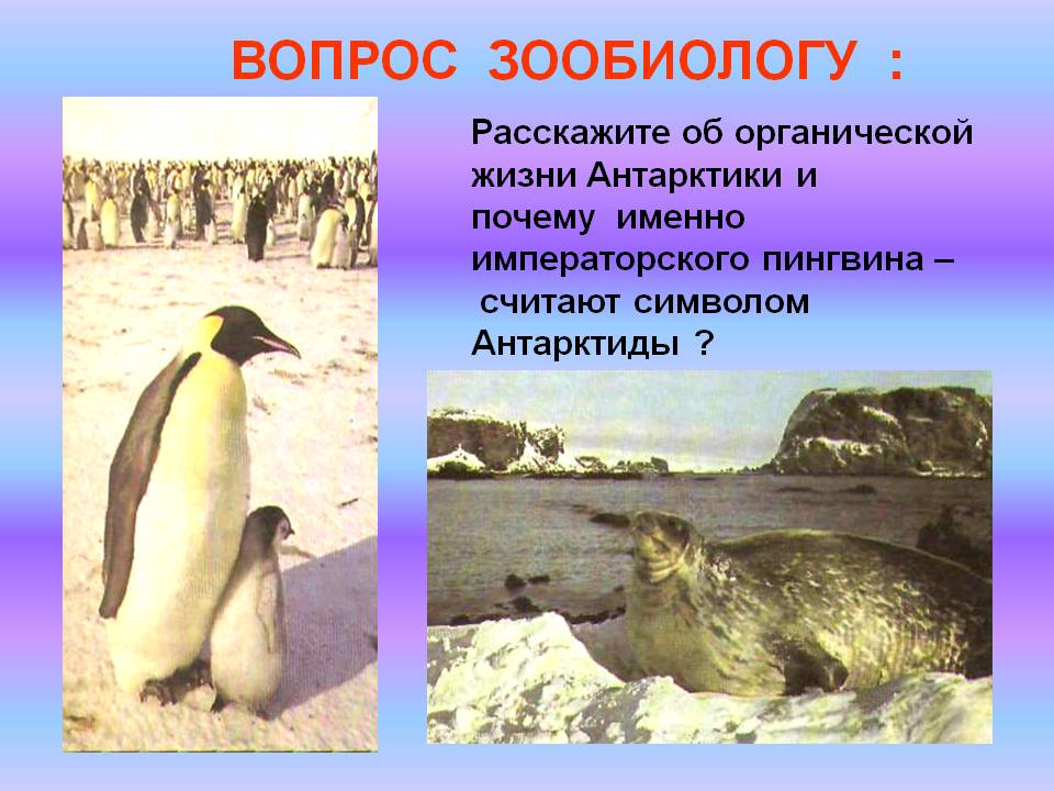 Вопрос зообиологу