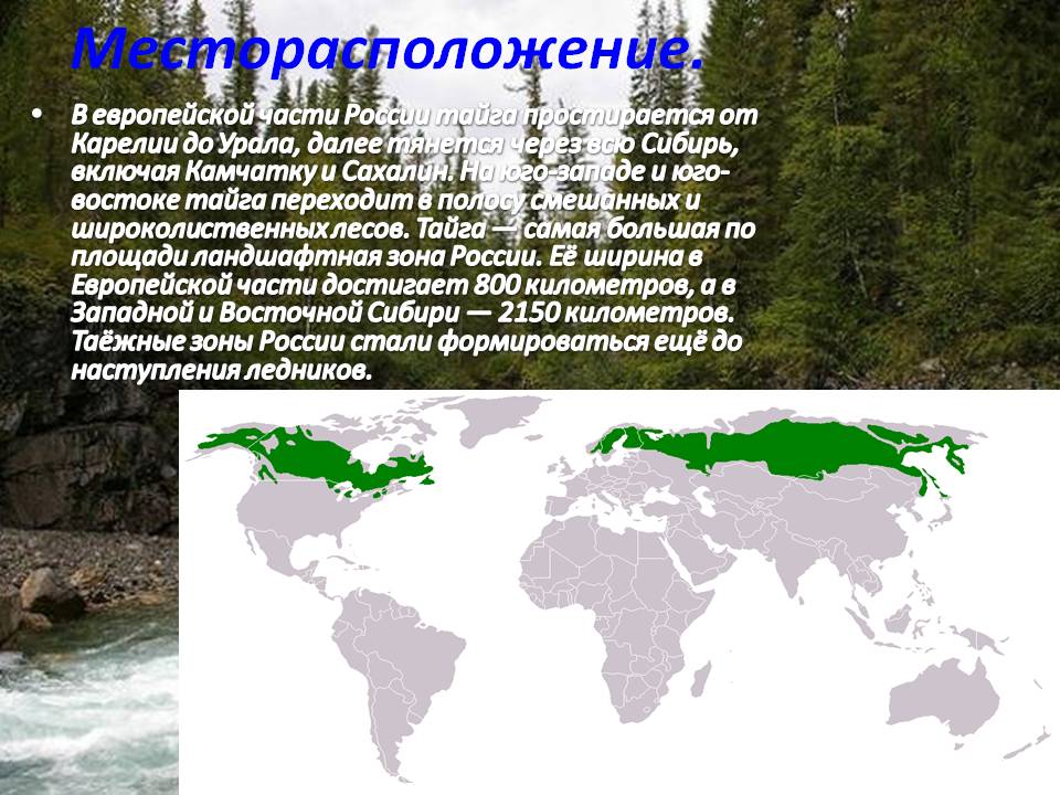 Месторасположение