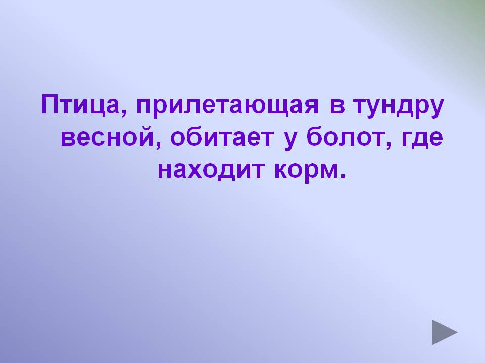 Птица, прилетающая в тундру весной, обитает у болот, где находит корм