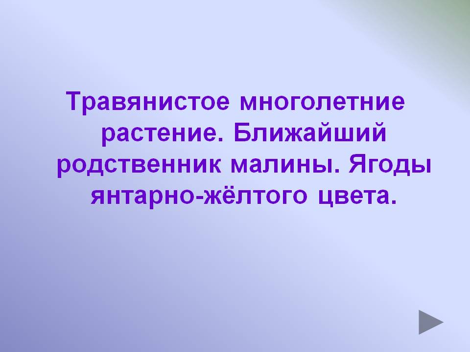 Травянистое многолетние растение