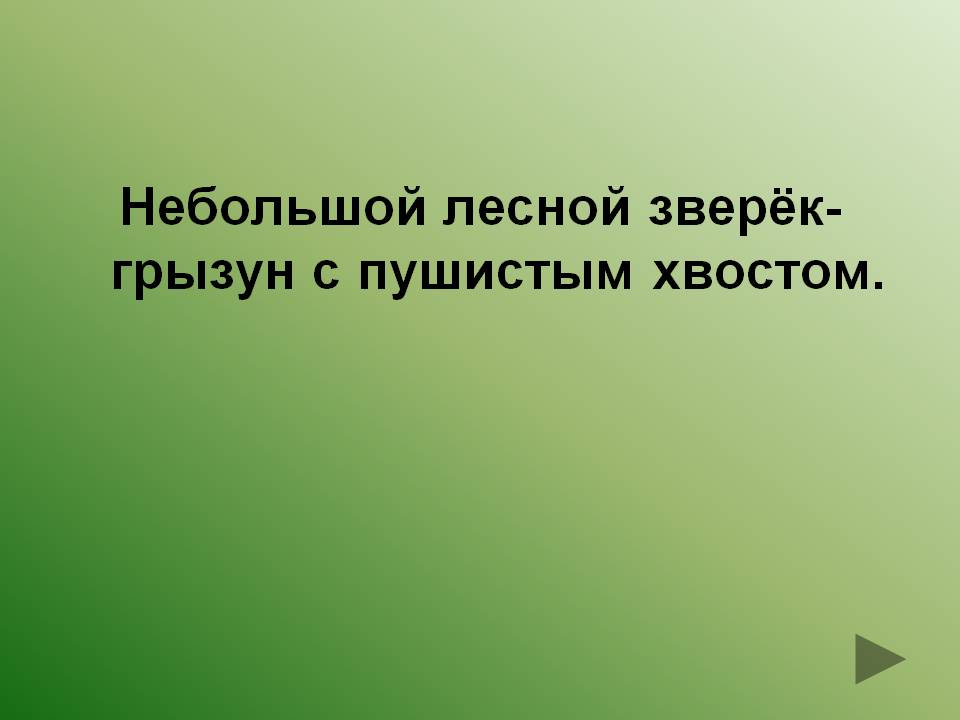 Небольшой лесной зверёк-грызун с пушистым хвостом