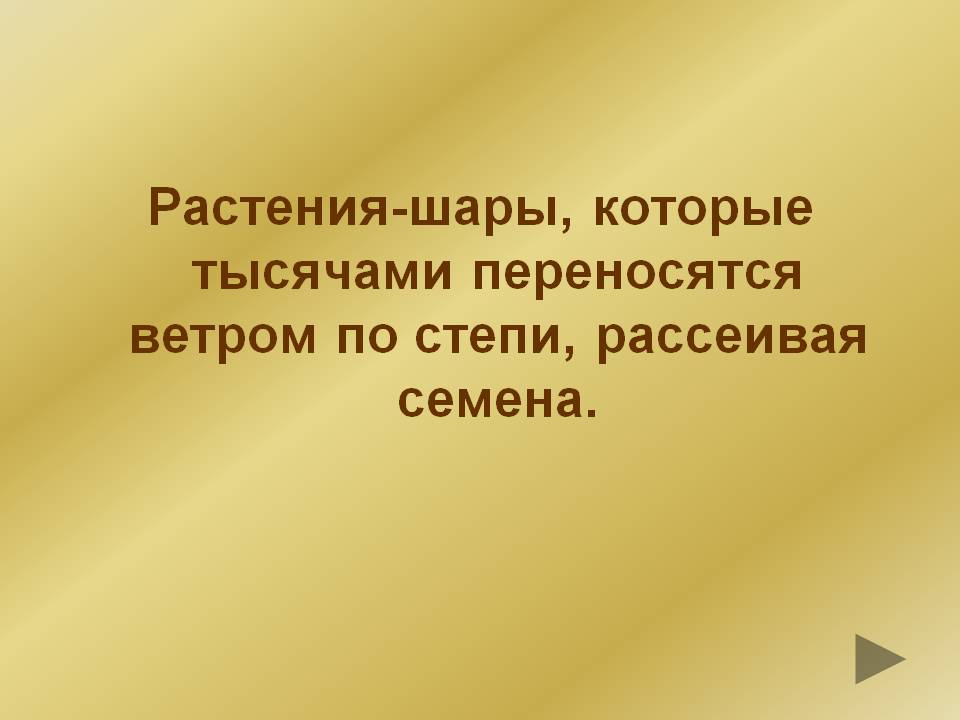 Растения-шары, которые тысячами переносятся ветром по степи