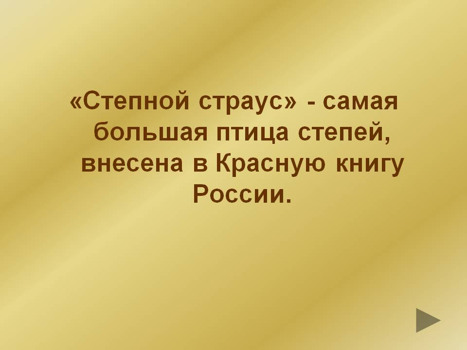 «Степной страус» - самая большая птица степей