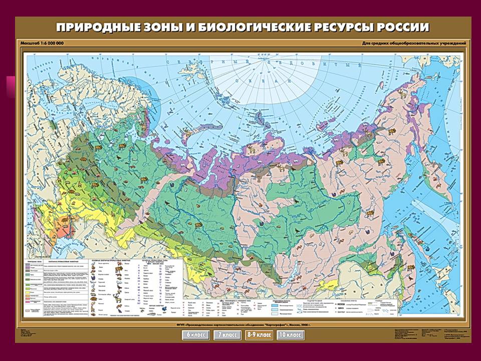 Природные комплексы Русской равнины