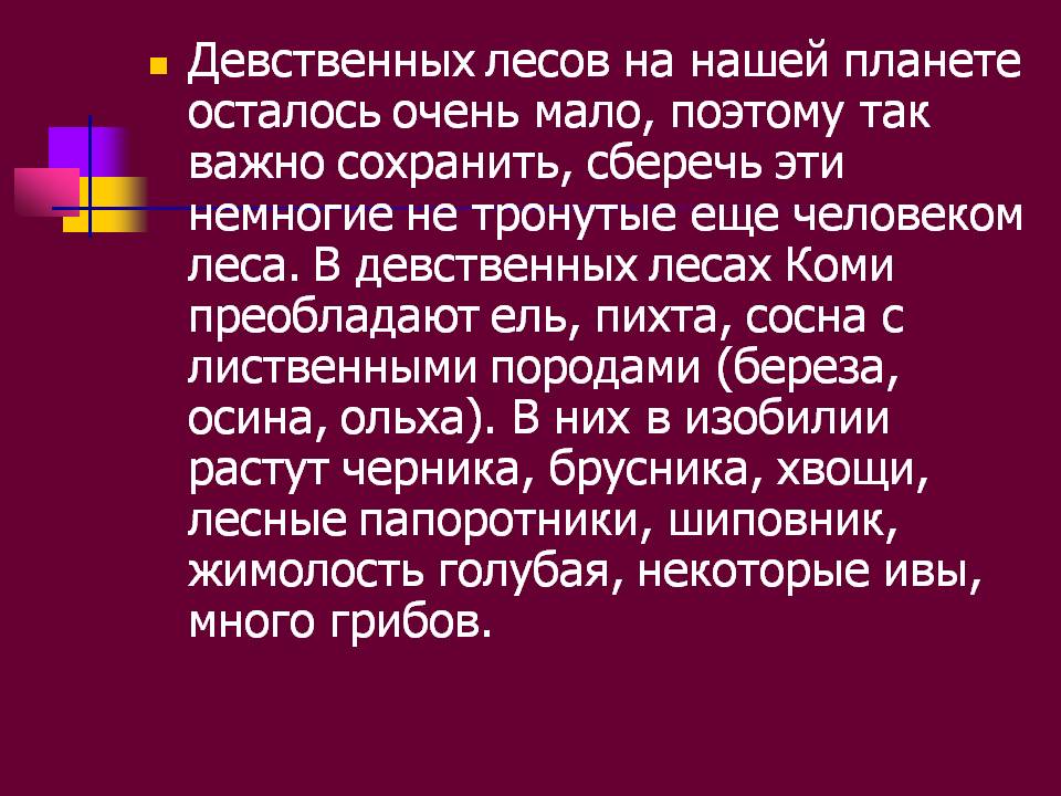 Девственных лесов на нашей планете осталось очень мало