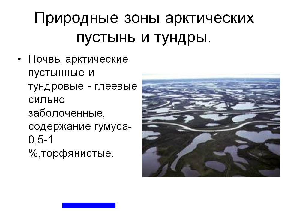 Природные зоны арктических пустынь и тундры