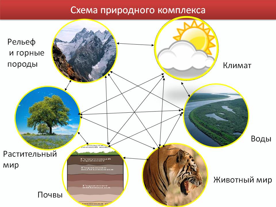 Схема природного комплекса