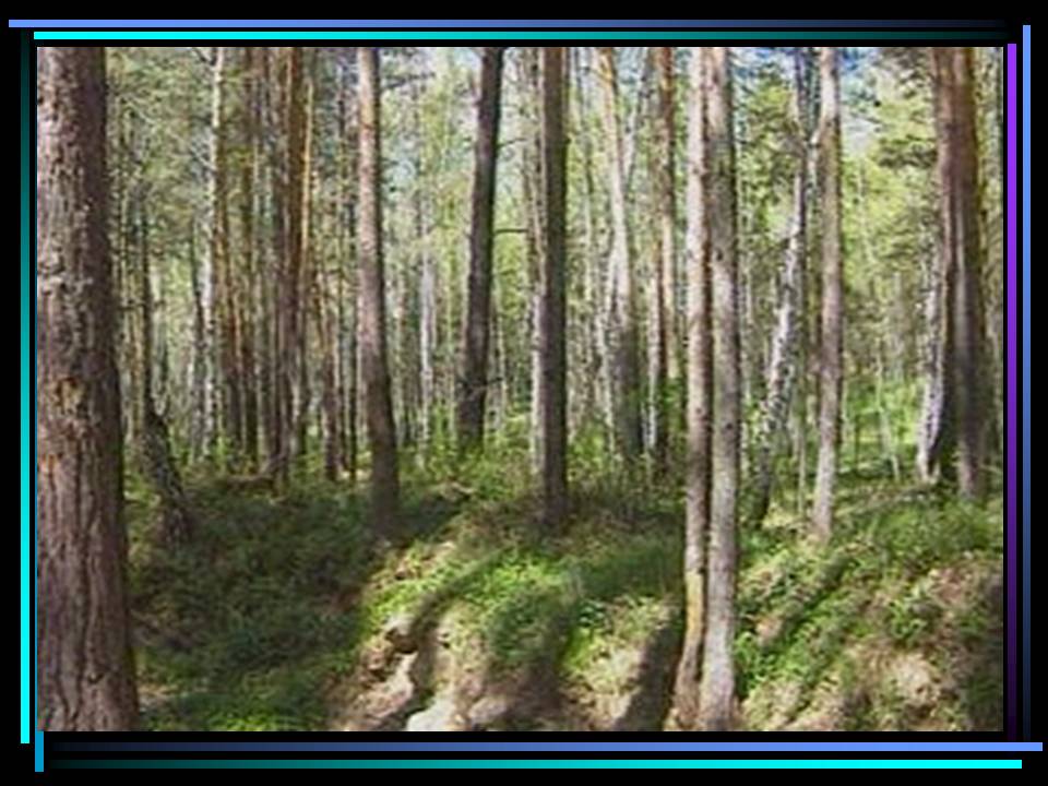 Природные заповедники Урала
