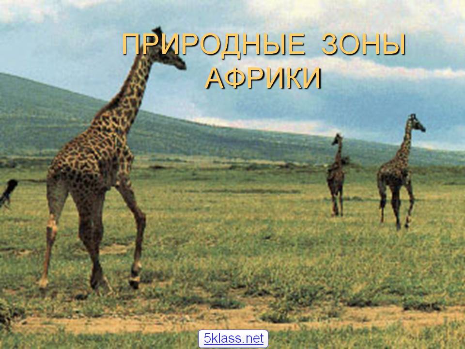 Природные зоны Африки