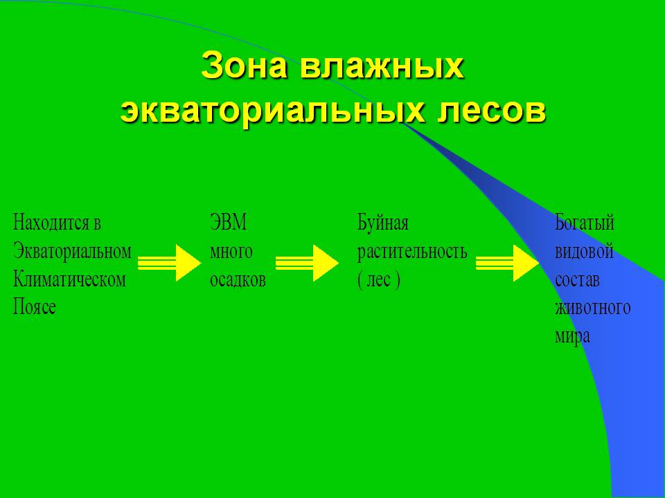 Зона влажных экваториальных лесов