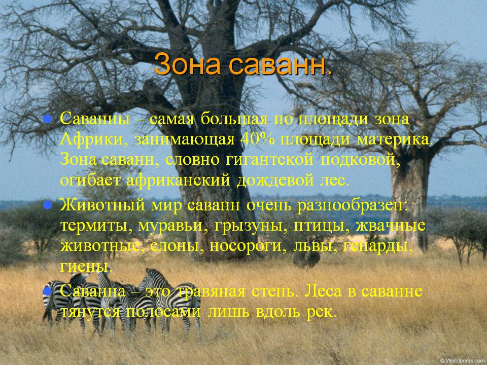 Саванны 