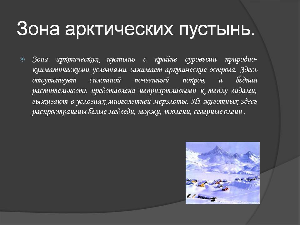 Зона арктических пустынь
