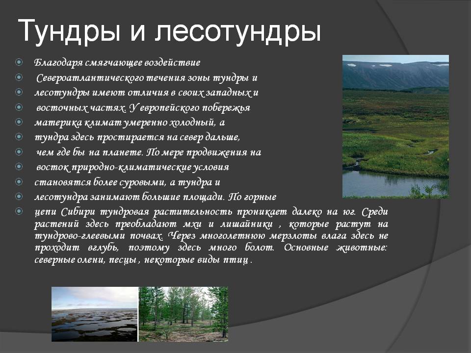Тундры и лесотундры