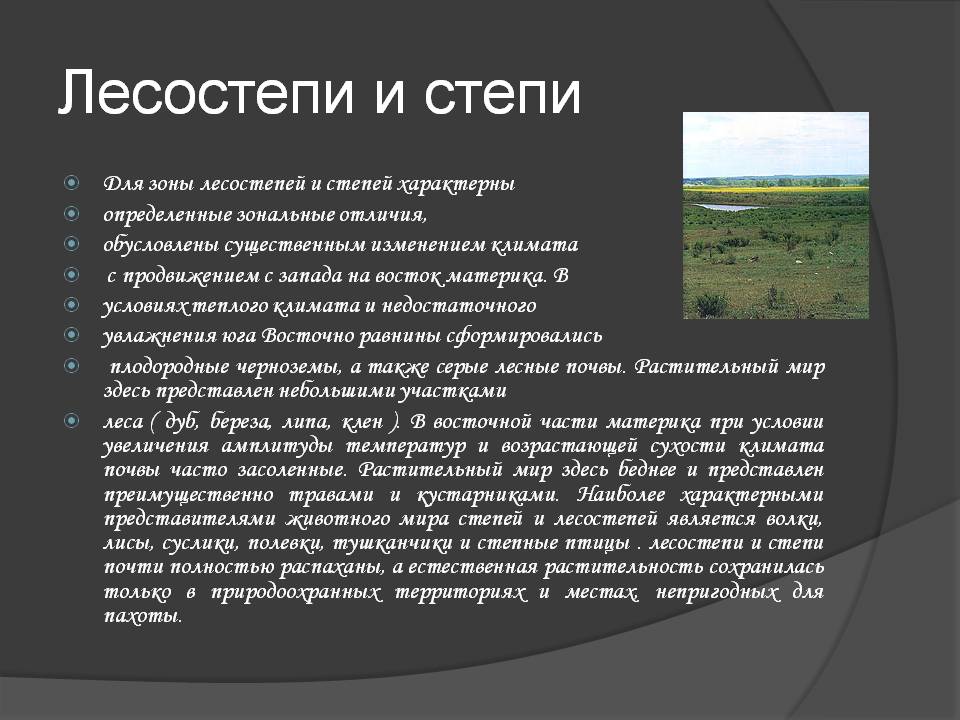 Лесостепи и степи
