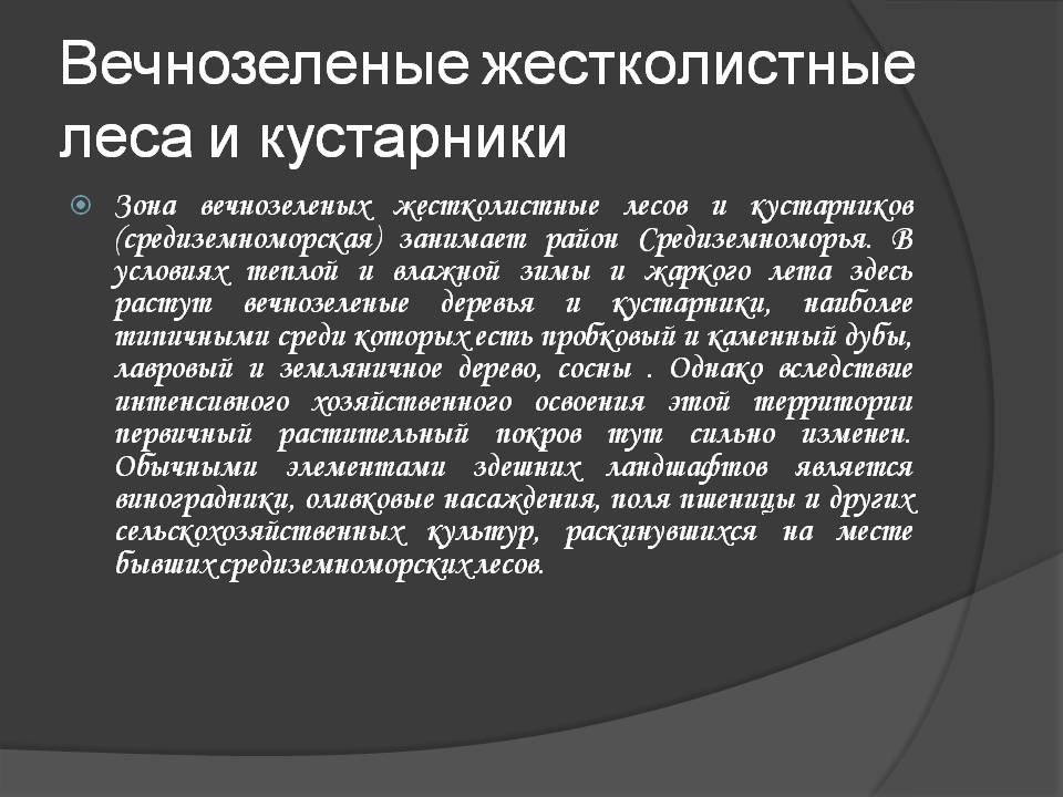 Вечнозеленые жестколистные леса и кустарники