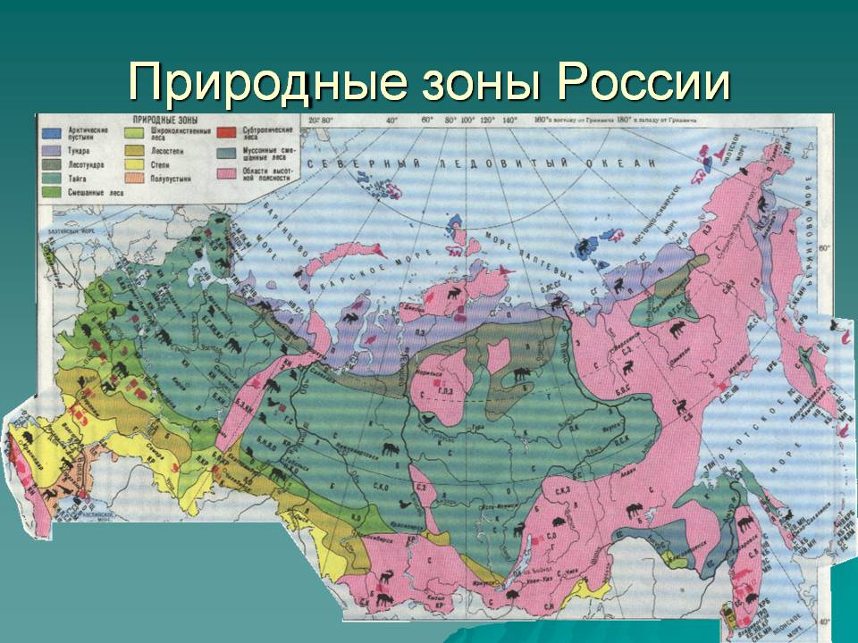 Природные зоны России