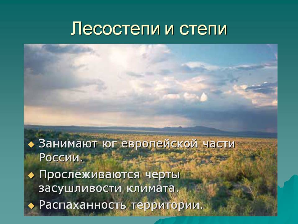 Лесостепи и степи