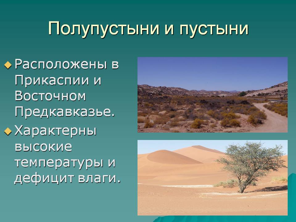 Полупустыни и пустыни