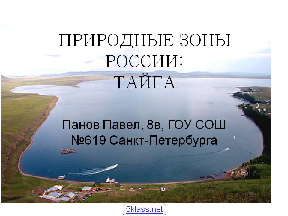 Природные зоны россии: тайга