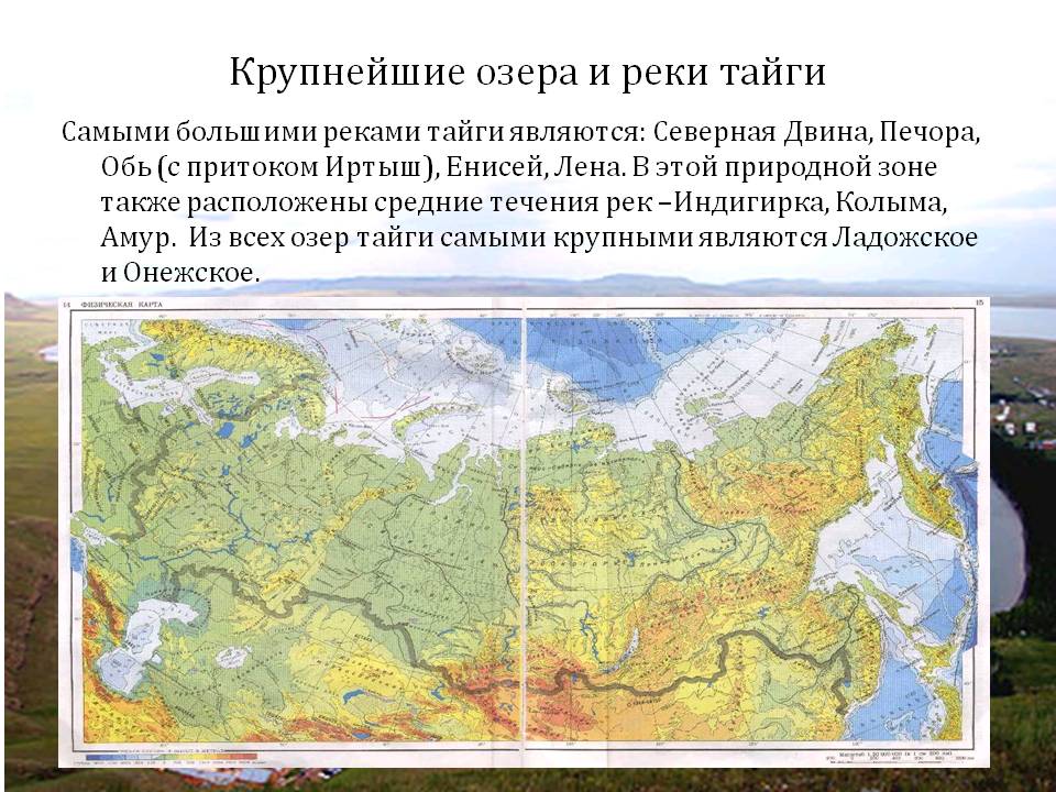 Крупнейшие озера и реки тайги