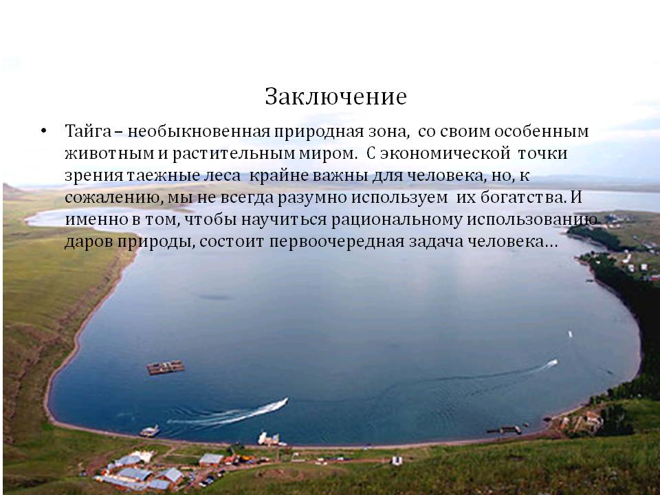Заключение