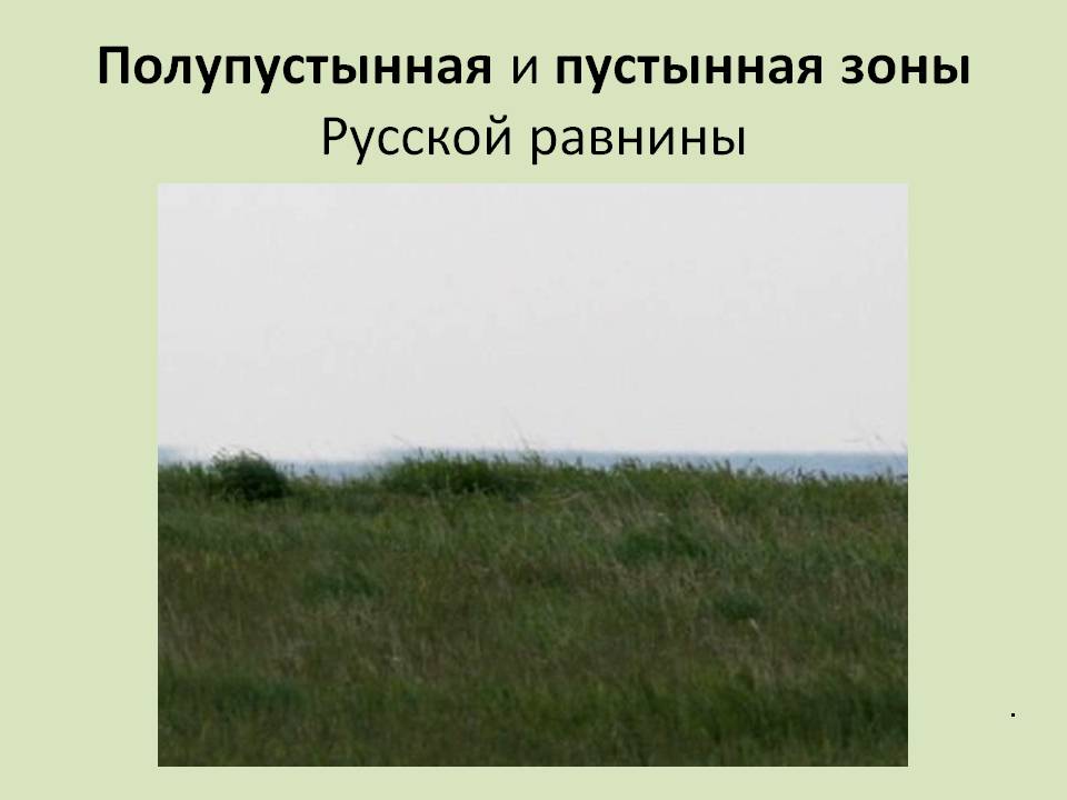 Полупустынная и пустынная зоны Русской равнины