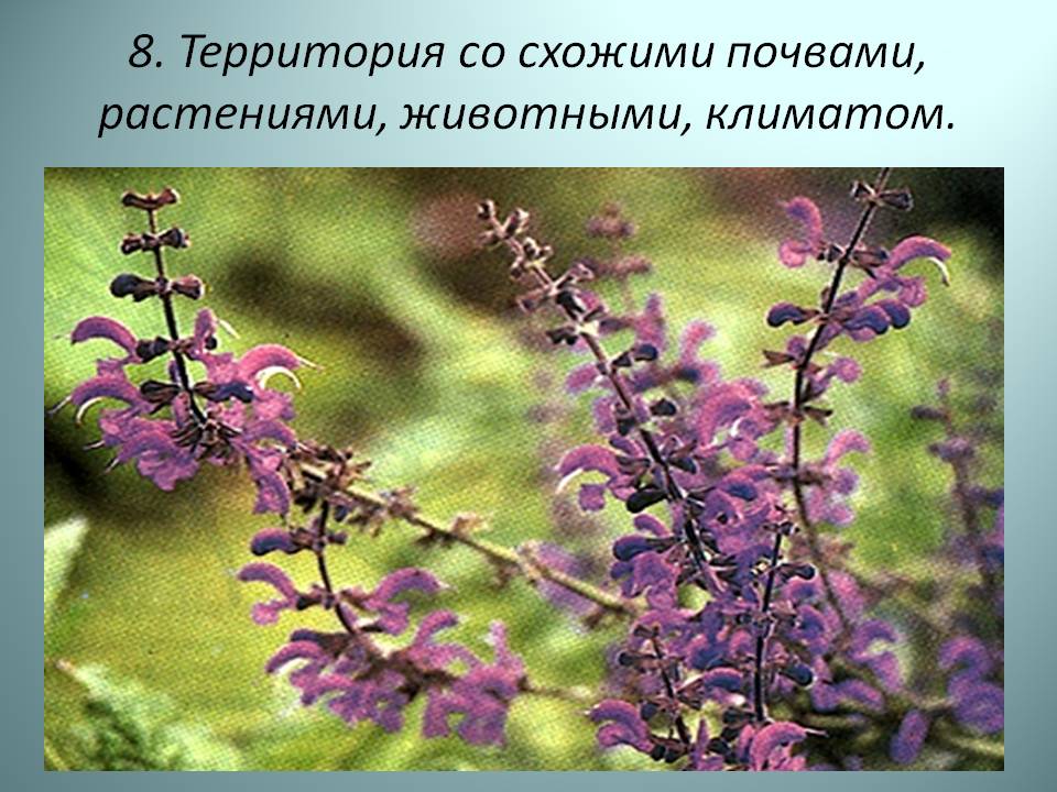 Территория со схожими почвами, растениями, животными, климатом