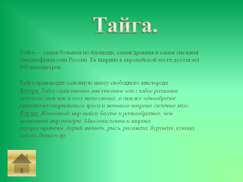 Тайга