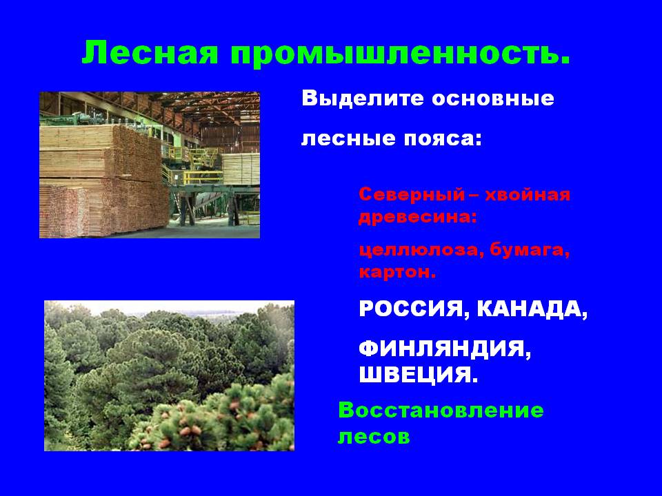 Лесная промышленность