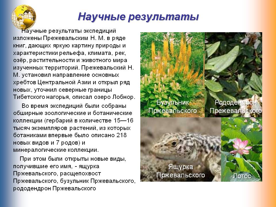 Научные результаты
