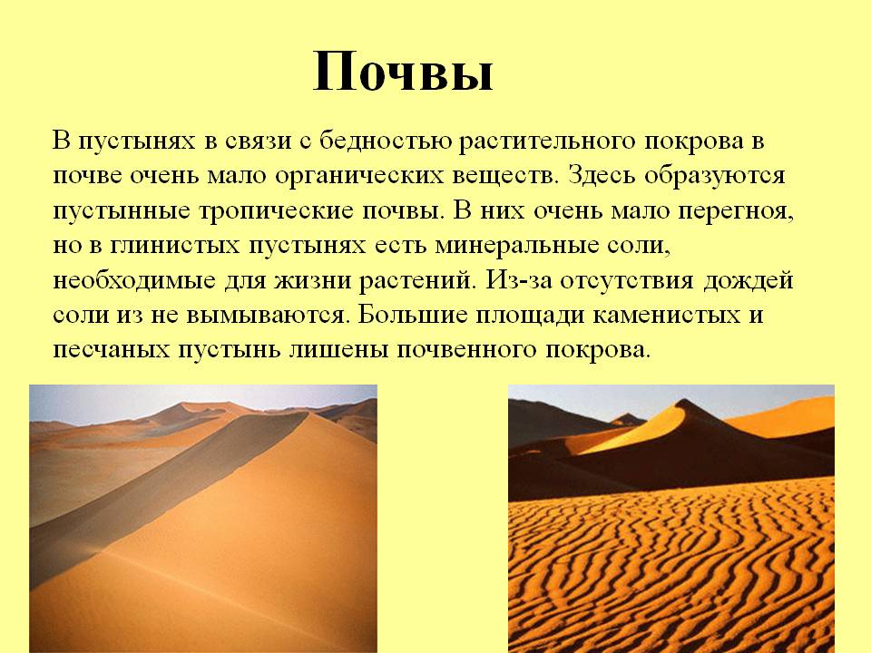 Почвы