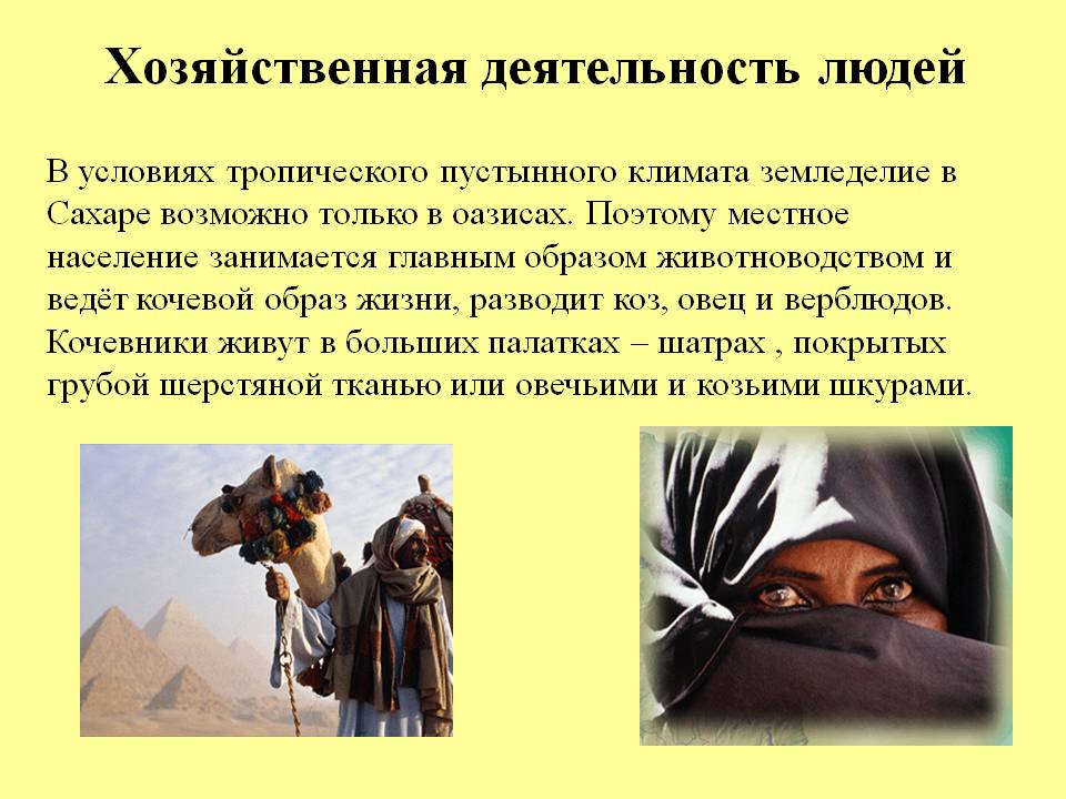 Хозяйственная деятельность людей