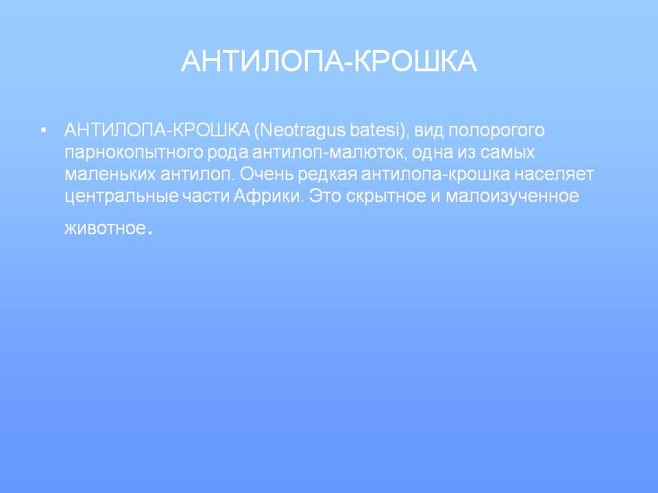 Антилопа-крошка