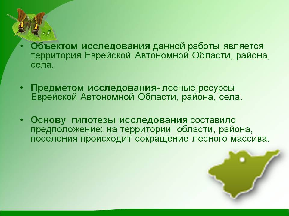 Объектом исследования данной работы является территория Еврейской