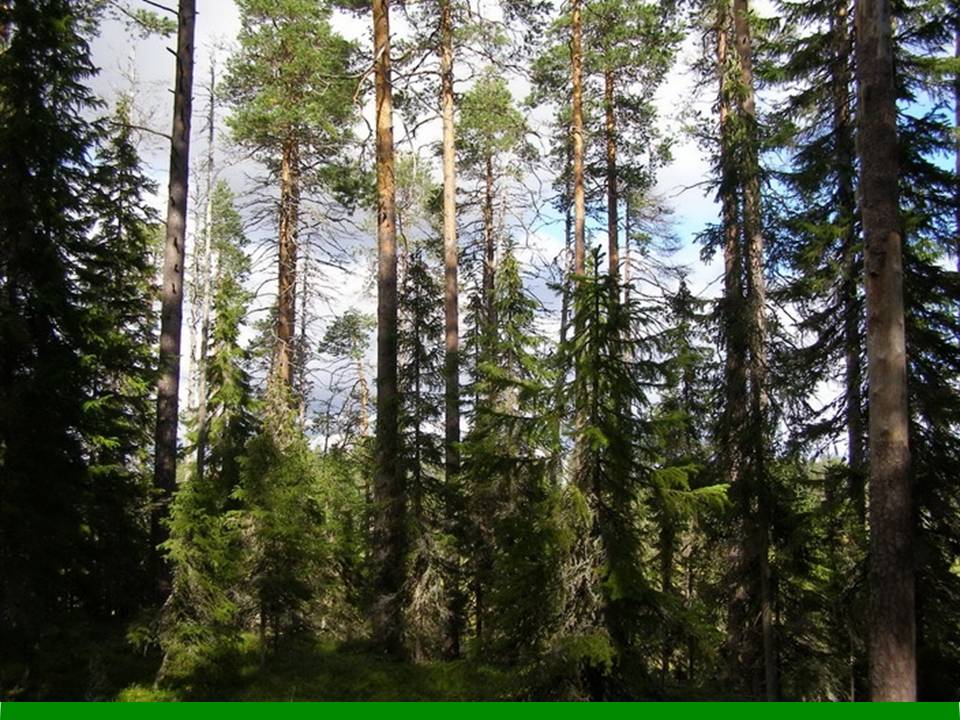 Рациональное использование природных ресурсов