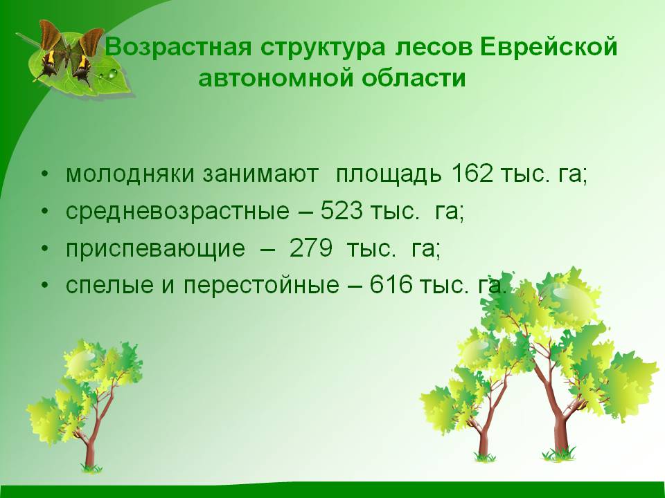 Возрастная структура лесов Еврейской автономной области