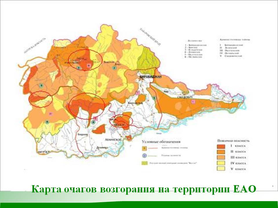 Карта очагов возгорания на территории ЕАО
