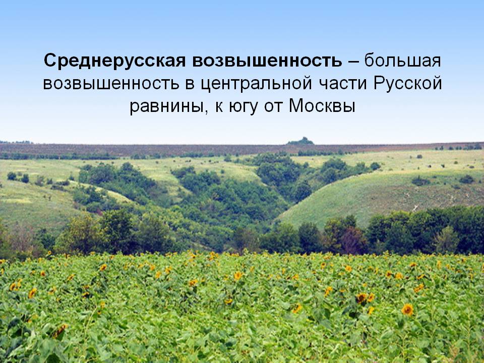 Среднерусская возвышенность – большая возвышенность в центральной