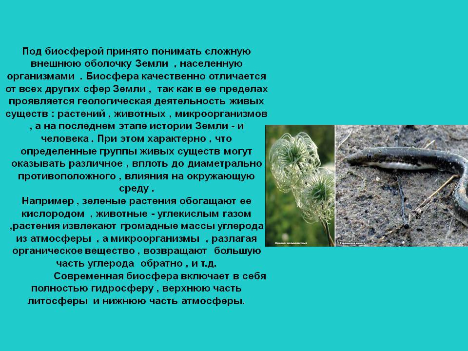 Биосфера качественно отличается от всех других сфер Земли